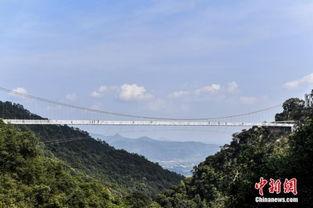南安网红玻璃桥航拍图,空中俯瞰，玻璃之桥的壮丽全景”