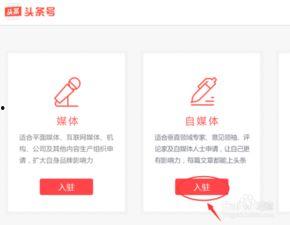 头条平台怎么进入的,如何轻松进入并畅游信息海洋