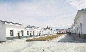 甘肃异地搬迁网红,网红助力乡村振兴新篇章