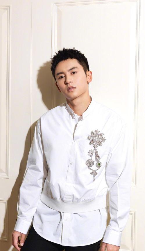 娱乐圈爆料张哲瀚,真相与争议并存