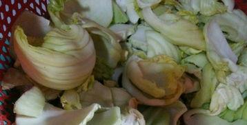 潮汕咸菜爆料怎么做的视频,传统腌制工艺的味蕾之旅