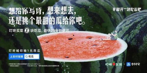 日常吃瓜文案,揭秘娱乐圈那些事儿