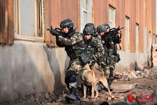 特勤中队在线观看,线上揭秘英勇无畏的消防英雄