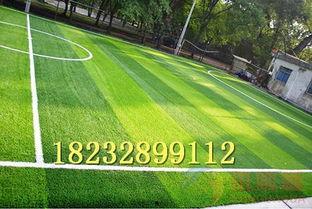 柳州网红草坪户外在哪,绿意盎然的新晋热门景点