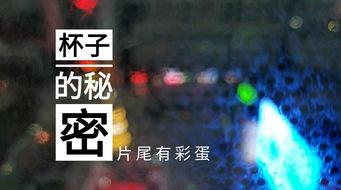 天津饭店爆料视频,揭露惊人内幕，食品安全引关注