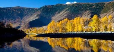 新都桥警方头条,守护平安家园