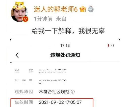 网红退网有哪些原因,网红退网背后的多重原因解析